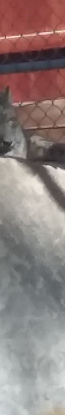 大熊湖动物园-大熊湖