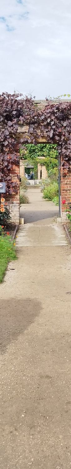 宁布鲁宫和花园-Beningbrough