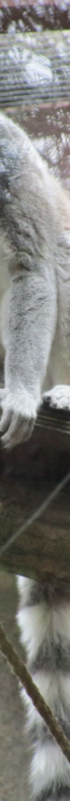 Zoo Kosice-科希策1区