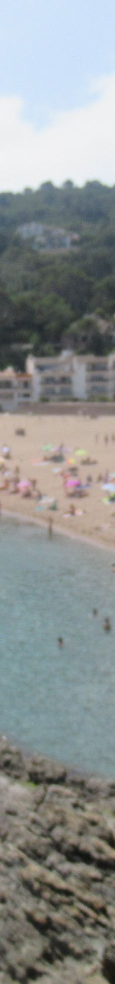 Playa Sa Riera-巴古尔