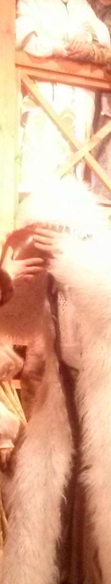 Luts'ka city council