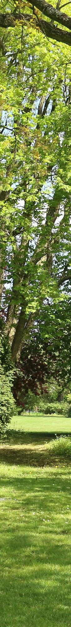 Geografisk Have-科灵