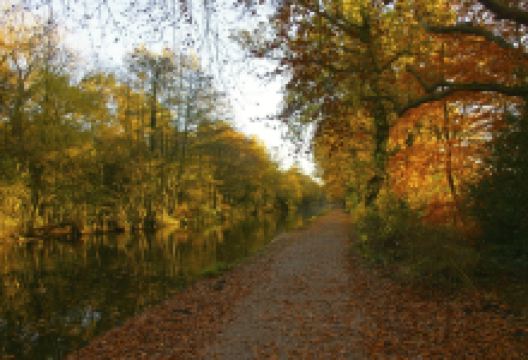 Frimley Lodge Park景点图片