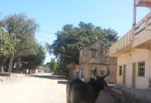 Bileshwar Shiva Temple景点图片