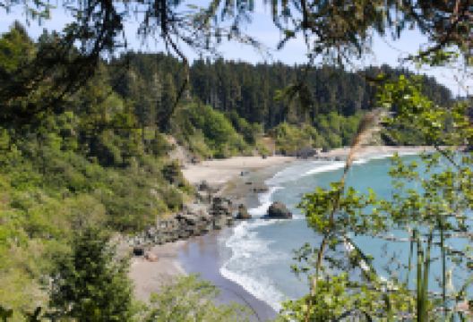 College Cove景点图片