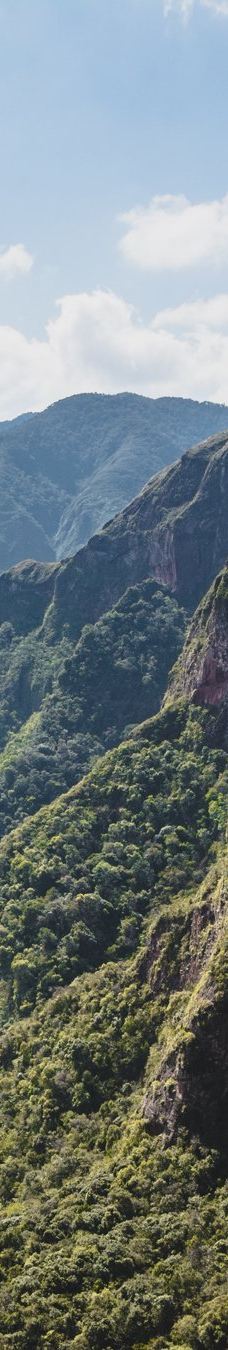 Amboro National Park-圣克鲁斯