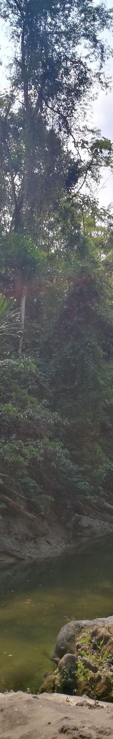 Amboro National Park-圣克鲁斯