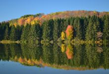 Hills Creek State Park景点图片