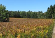 Maine Coastal Islands National Wildlife Refuge景点图片