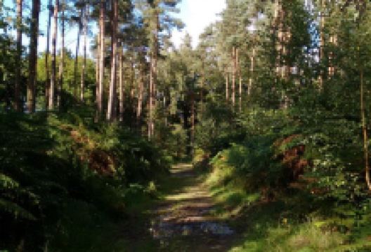 Charlbury No 1 Circular Walk景点图片