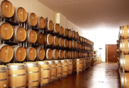 Weingut Anselmann景点图片