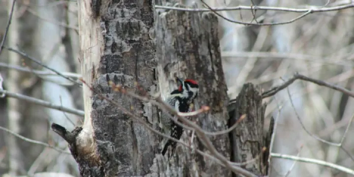 Carey Lake Recreation Area