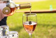 Vinicola legado景点图片