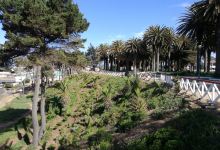 Parque Ross景点图片