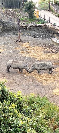 Selwo Aventura-埃斯特波纳