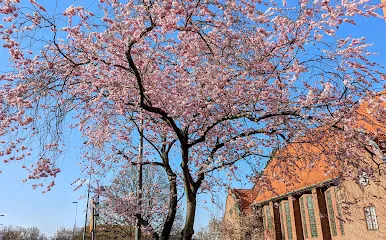 Kulturkvarteret Kristianstad