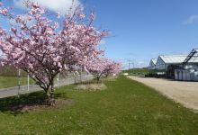Kalundborg Havecenter A / S购物图片