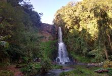 Cachoeira palma sola景点图片