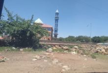 Erer Central Mosque景点图片