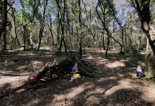 Bosc dels nans景点图片