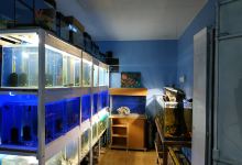 Happy Fish景点图片
