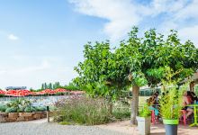 Camping Les Pommiers d'Aiguelèze景点图片