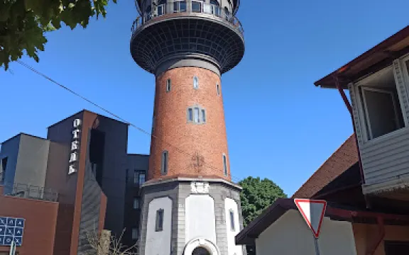 Museum of Skulls and Skeletons