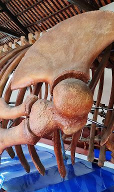 Van Thuy Tu Temple-潘切