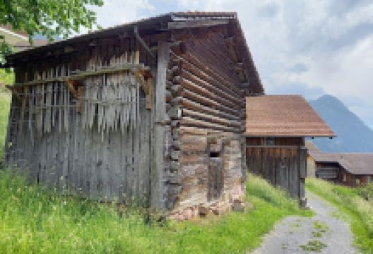 Walserhaus景点图片