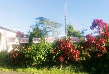 Jardín Ana景点图片