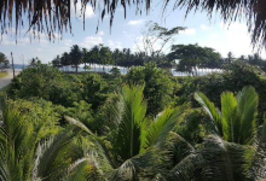 COPYRECSARAGAME美食图片