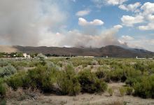 Cold Springs Skateboard Park景点图片
