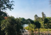 Queens Park景点图片