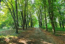 Nacionalni Park "Fruška Gora" J.p.景点图片