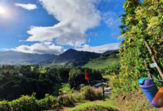 Jardín Mary景点图片