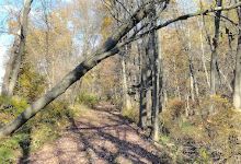Sussex Branch Trail Parking景点图片