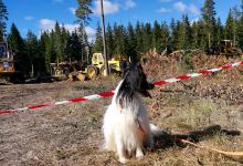 Källhults Bygdegård景点图片