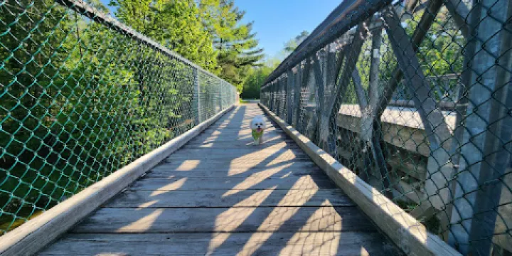 Fitzroy Provincial Park