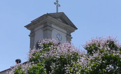 Catedral Metropolitana São João Batista