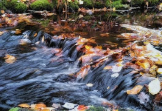 Devil's Hills Falls景点图片