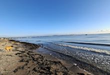 Hundestrand Eckernförde景点图片