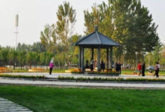 森林公园景点图片