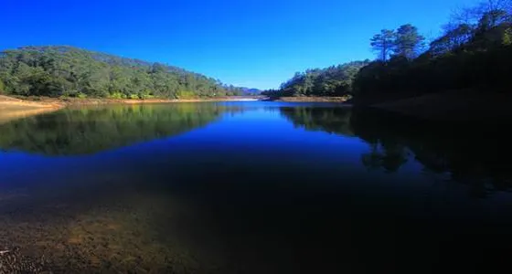 戈賈森林公園