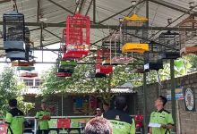 PANDANSILI JAYA BIRD CLUB景点图片