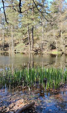 Rokkestenen-伯恩霍尔姆