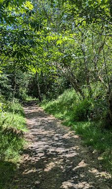 Alder Island Nature Trailhead-林肯县