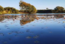 Hatchet Moor Enclosure景点图片