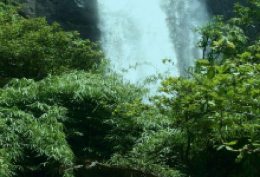 Athirappilly Water Falls景点图片