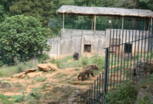 Prehistoric Site of Regourdou (Site Prehistorique de Regourdou)景点图片