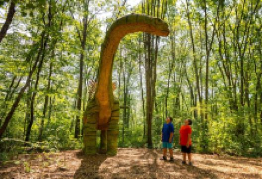 The Dinosaur Place at Nature's Art Village景点图片